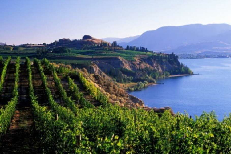 Okanagan Valley BC for A Great Wine Tasting Experience