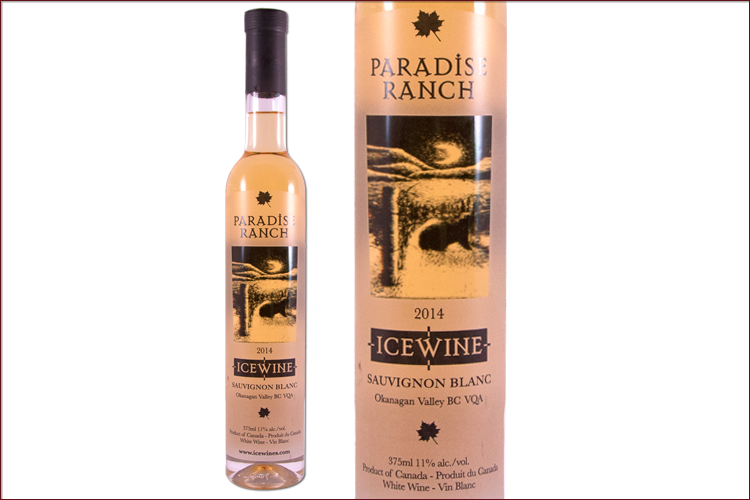 Bench 1775 Winery Paradise Ranch Sauvignon Blanc Icewine wine bottle